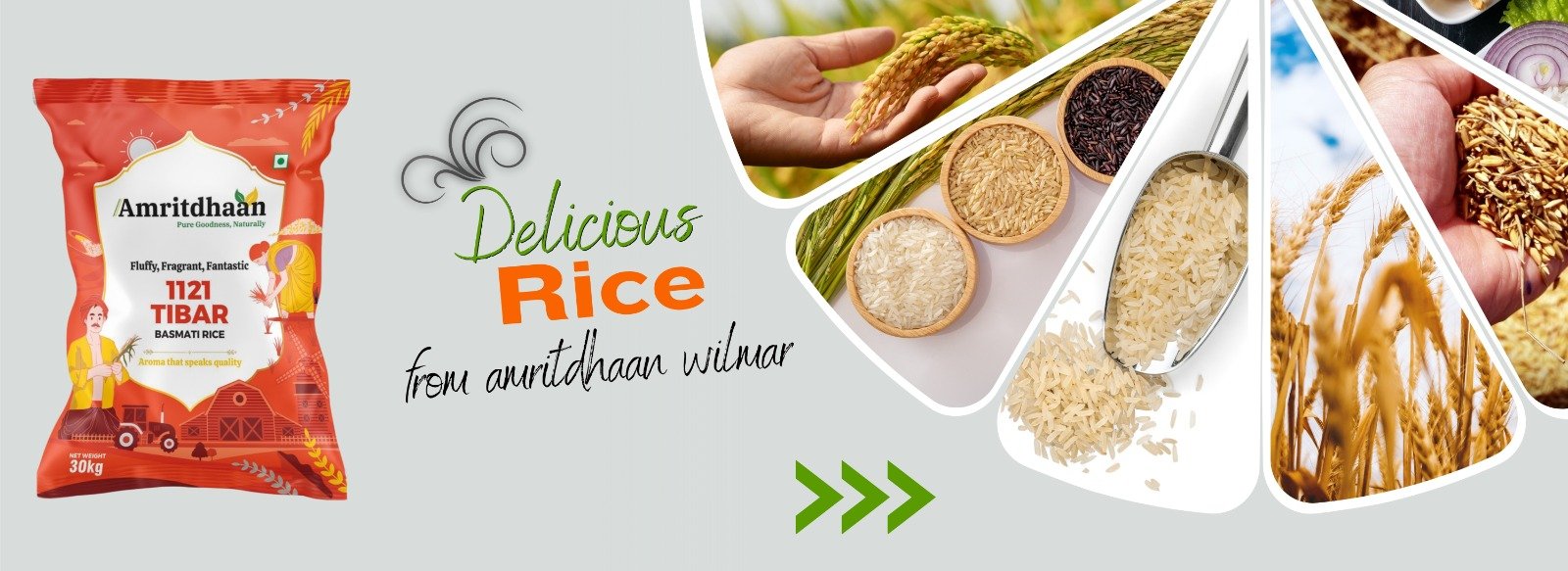 Amritdhaan Wilmar Rice